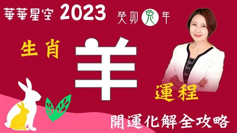 屬羊佩戴2023|【屬羊佩戴2023】屬羊佩戴2023最強運勢！招財吉祥物大公開